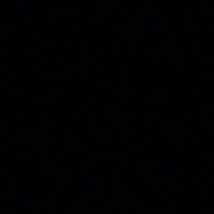 Meet your Posher, Josee